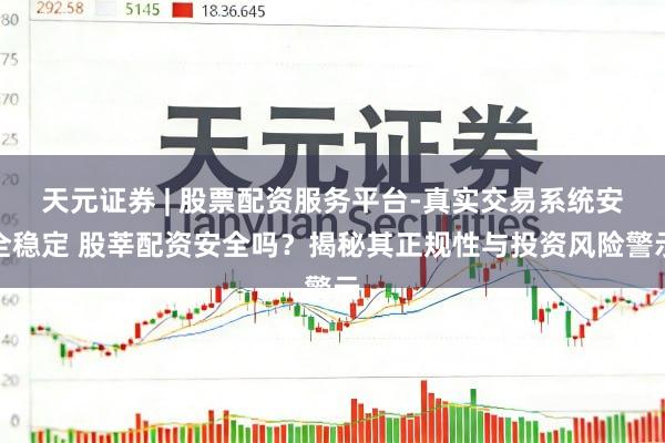 天元证券 | 股票配资服务平台-真实交易系统安全稳定 股莘配资安全吗？揭秘其正规性与投资风险警示