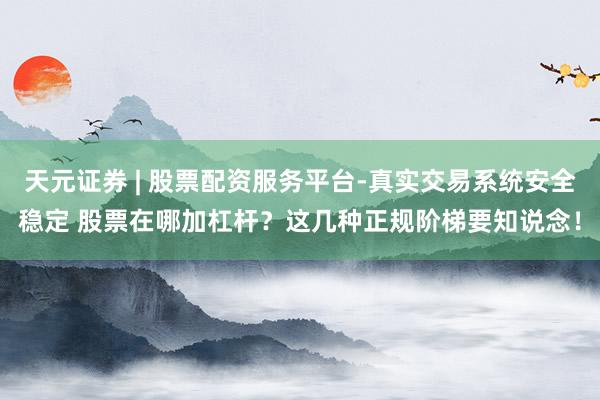 天元证券 | 股票配资服务平台-真实交易系统安全稳定 股票在哪加杠杆？这几种正规阶梯要知说念！